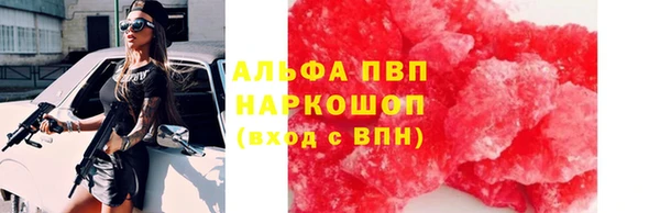 мяу мяу мука Аркадак