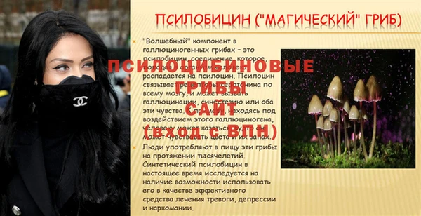 2c-b Пестово