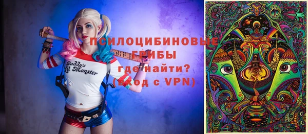 мяу мяу мука Аркадак