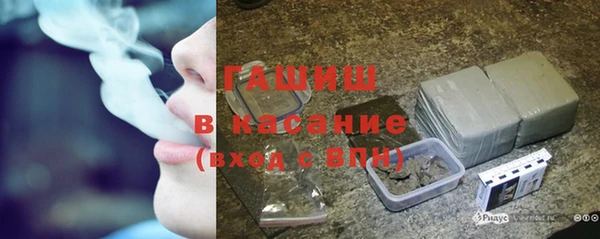 мяу мяу мука Аркадак