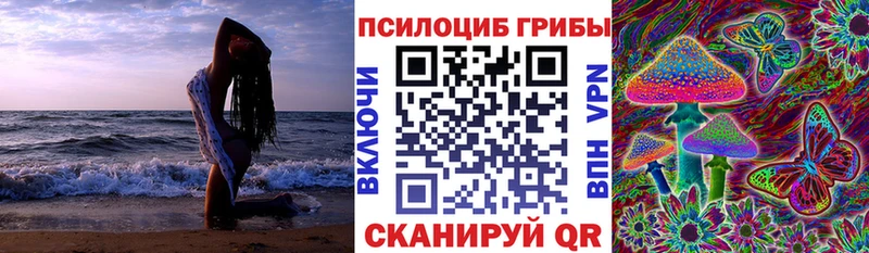 купить закладку  Пущино  МЕГА tor  Псилоцибиновые грибы Cubensis 