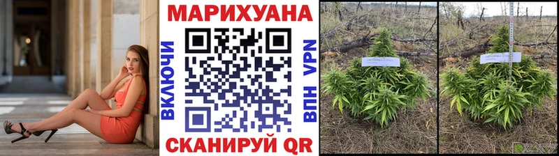 дарнет шоп  Пущино  МАРИХУАНА гибрид 